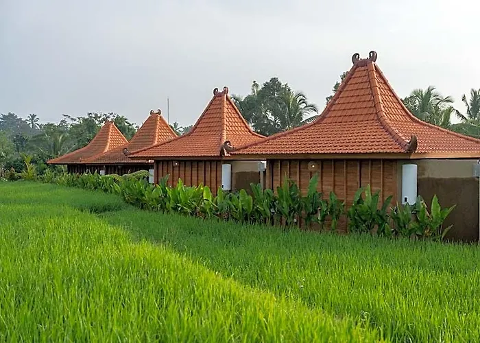 The Patra Sebatu By Dhananjaya Hospitality ロッジ Sebatu (Bali)