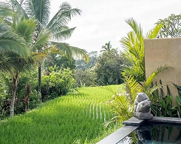 The Patra Sebatu By Dhananjaya Hospitality Lodge *